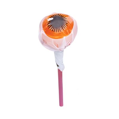 آبنبات چوبی طرح چشم (پک میکس 5عددی)